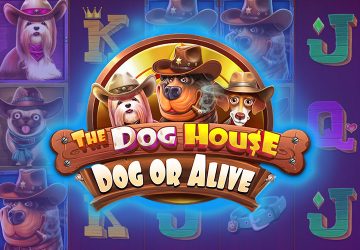 NOVOMATIC - игровой автомат онлайн от Various с RTP 96.07%